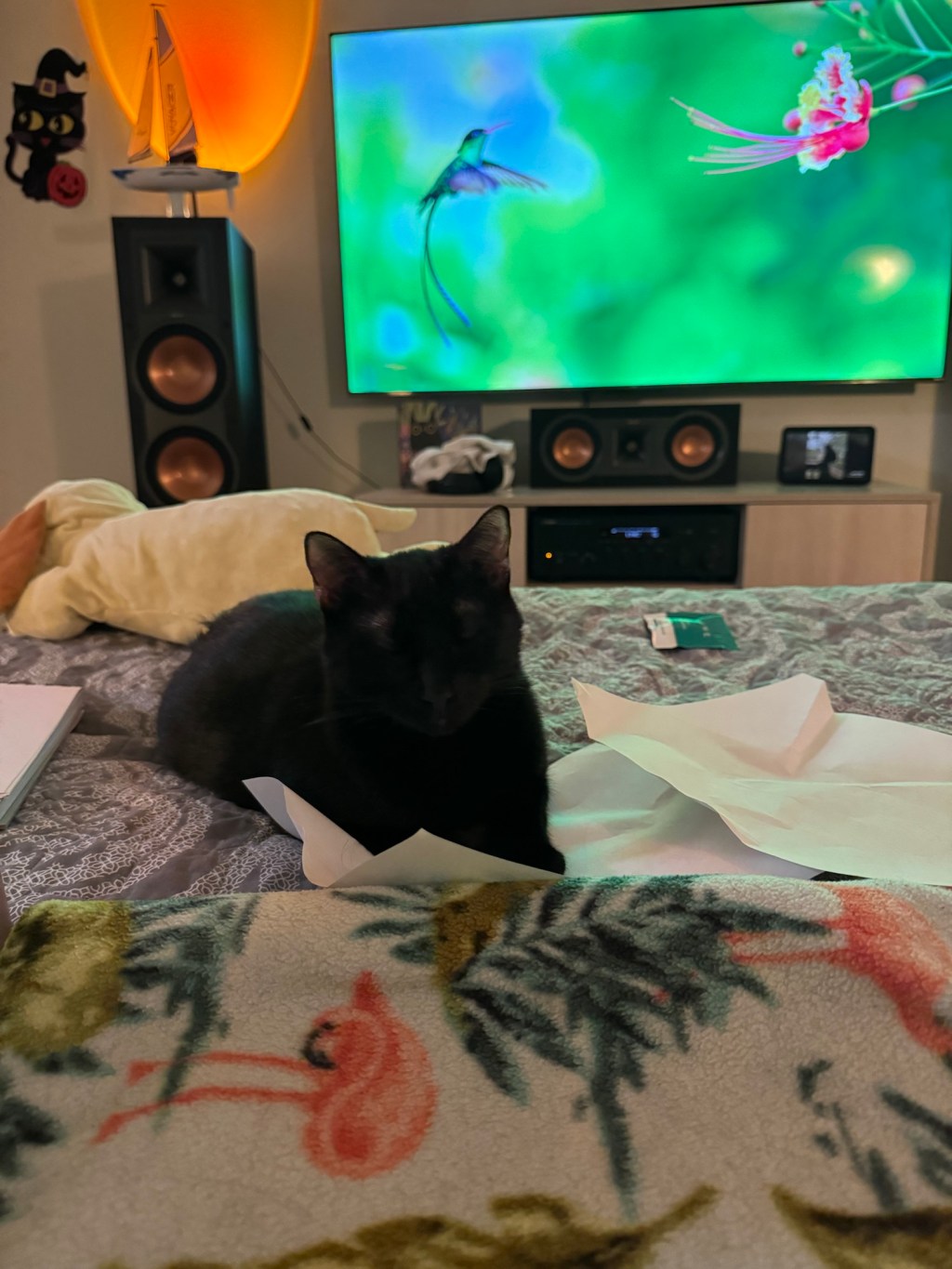 Getting started with&nbsp;drawing