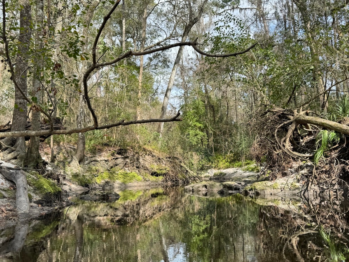 The heart wants what it&nbsp;wants