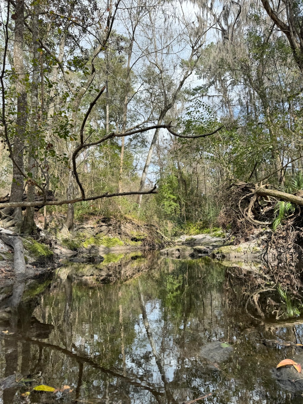 The heart wants what it&nbsp;wants