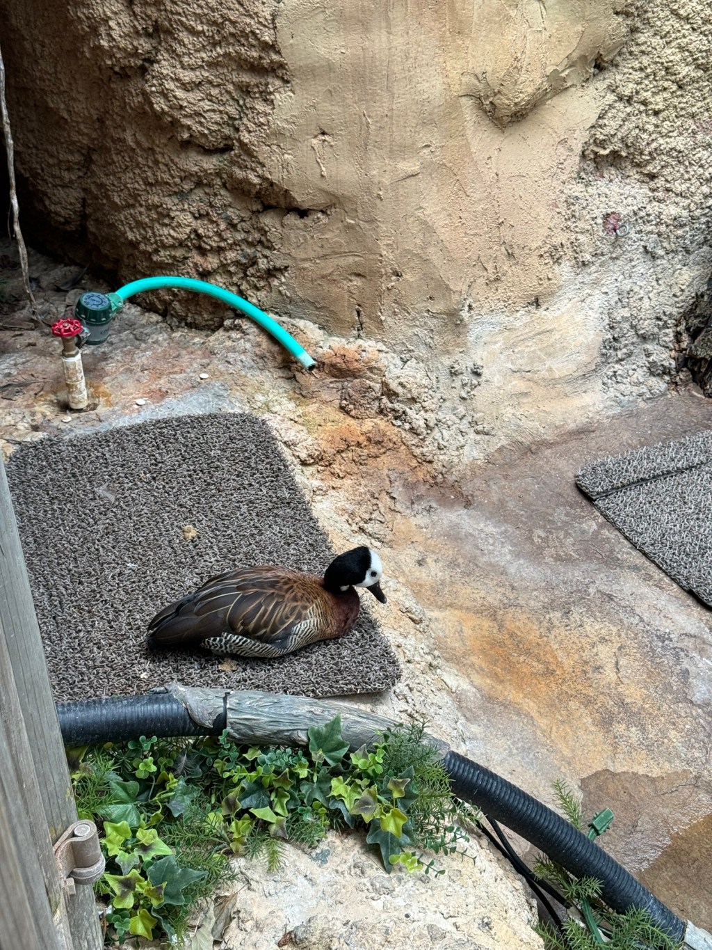 I remembered something&nbsp;today