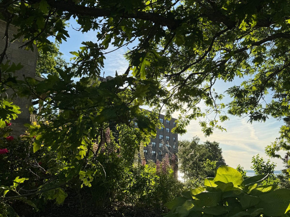 Guides, universe, God, I’m afraid of this&nbsp;loneliness.